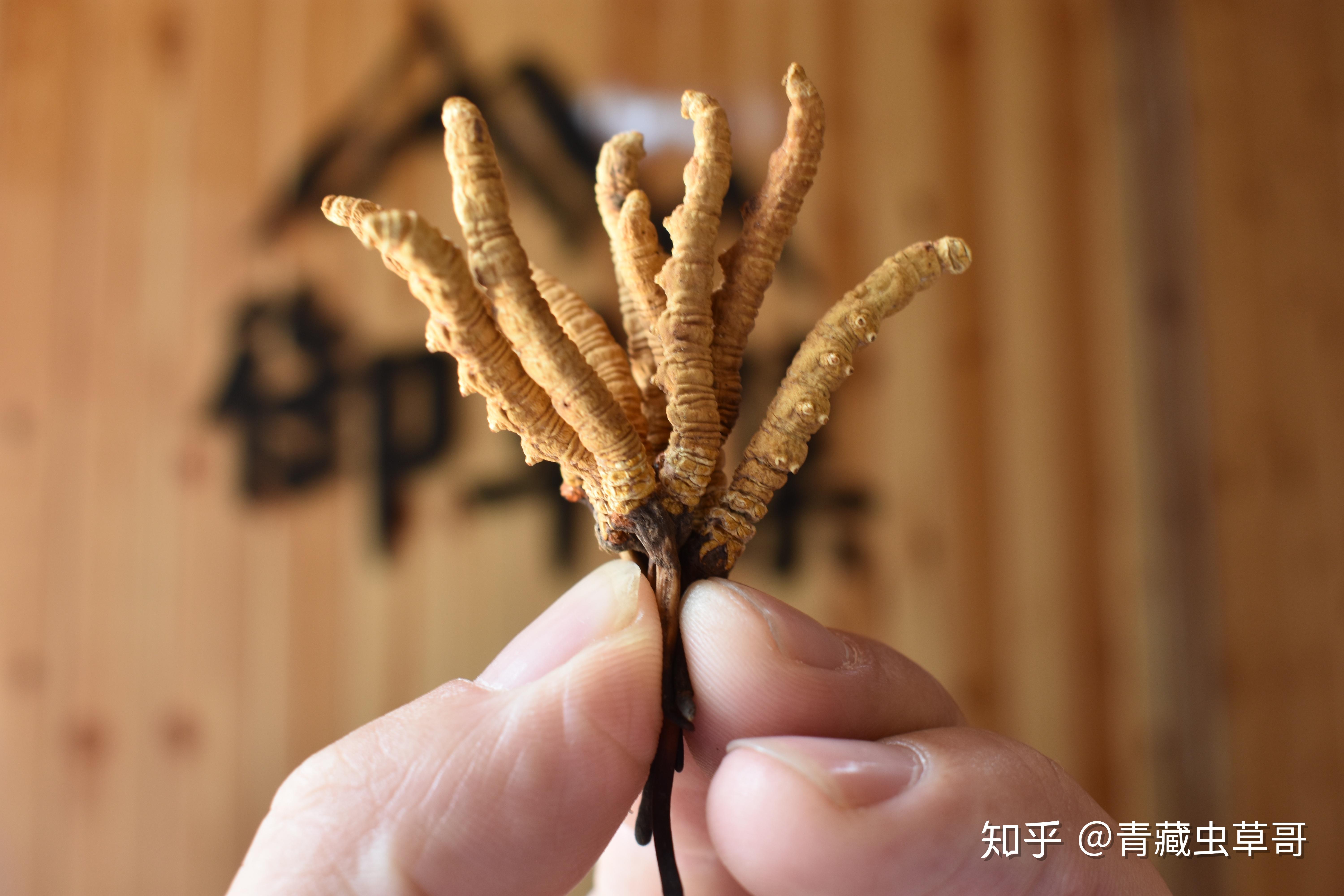 精品久草精品精品久草，品味独特之选-第3张图片