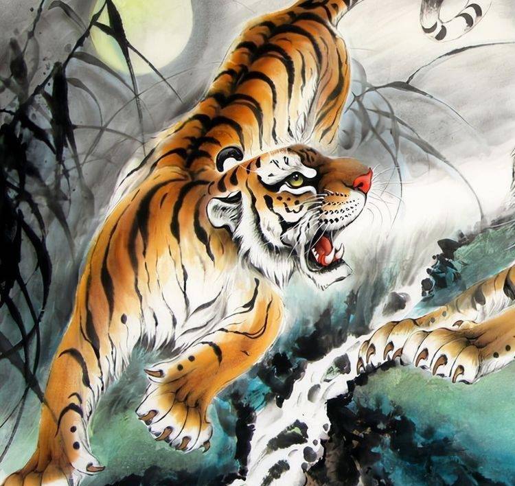 四虎4hu永久免费，无限可能的新篇章-第2张图片