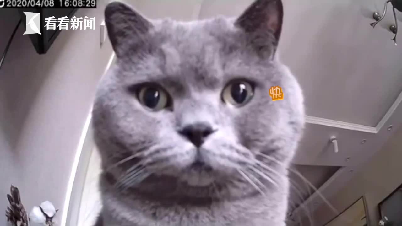无人在线直播免费观看视频下载无人在线直播免费观看视频下载-第3张图片