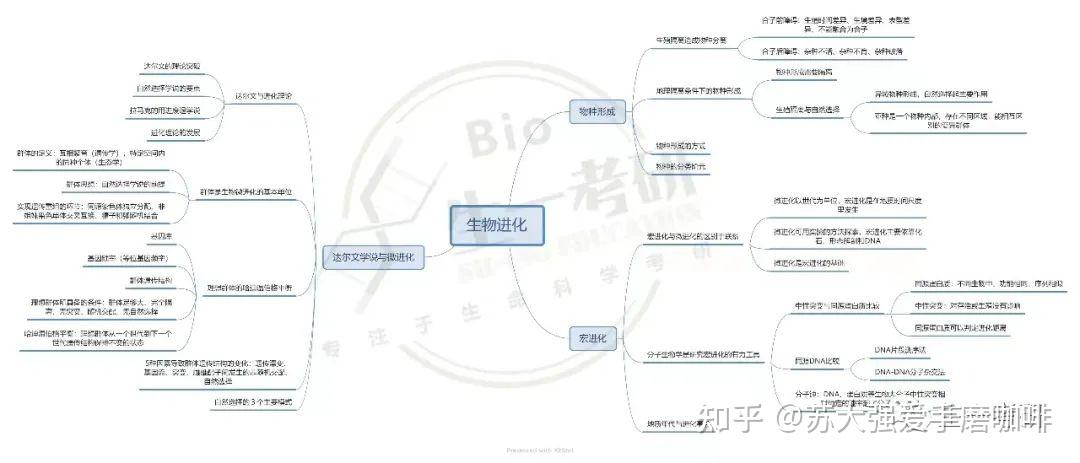 进化evolve进化与演进的探索-第1张图片