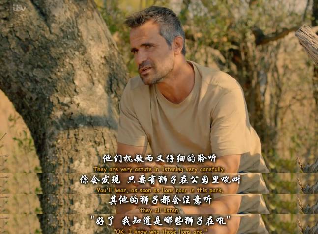 毛片站名毛片站，色情内容的泛滥与监管困境-第2张图片