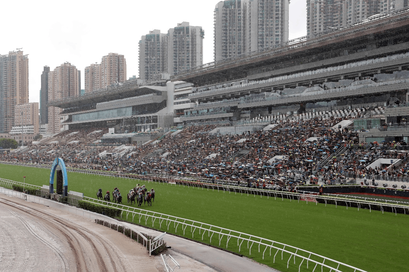 香港马会2019资料大全-第2张图片