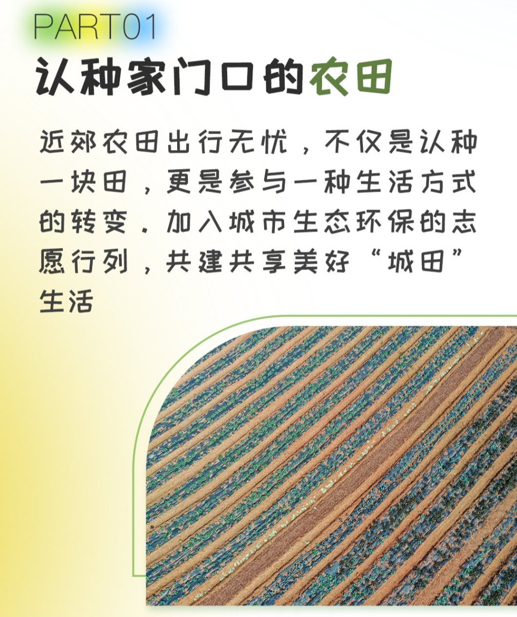 夫妻间100间插秧法人民网夫妻性生活夫妻间100间插秧法，携手共耕田园情-第1张图片