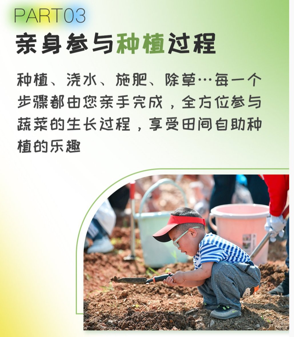 夫妻间100间插秧法人民网夫妻性生活夫妻间100间插秧法，携手共耕田园情-第3张图片