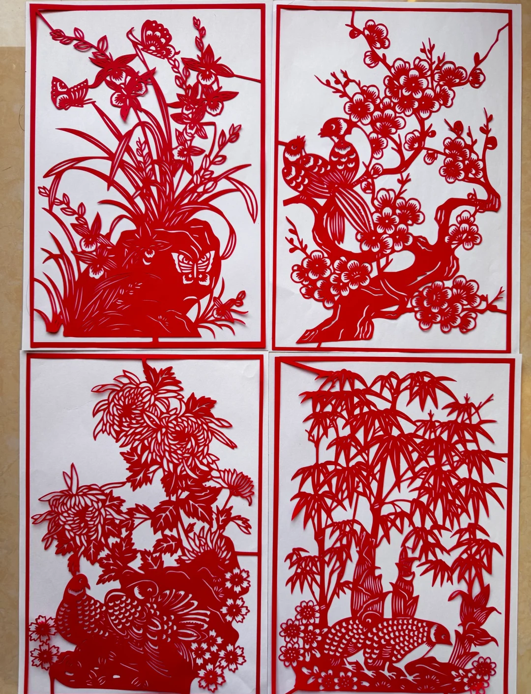竹菊视频，传统与现代的完美融合-第2张图片