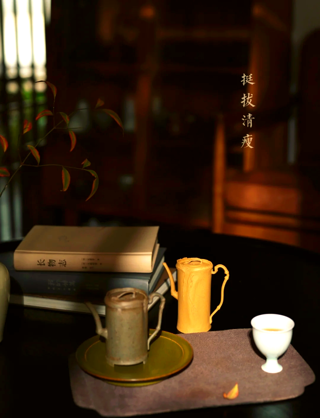 竹菊视频，传统与现代的完美融合-第1张图片