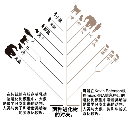 超级天医，探寻生命奥秘的神秘力量