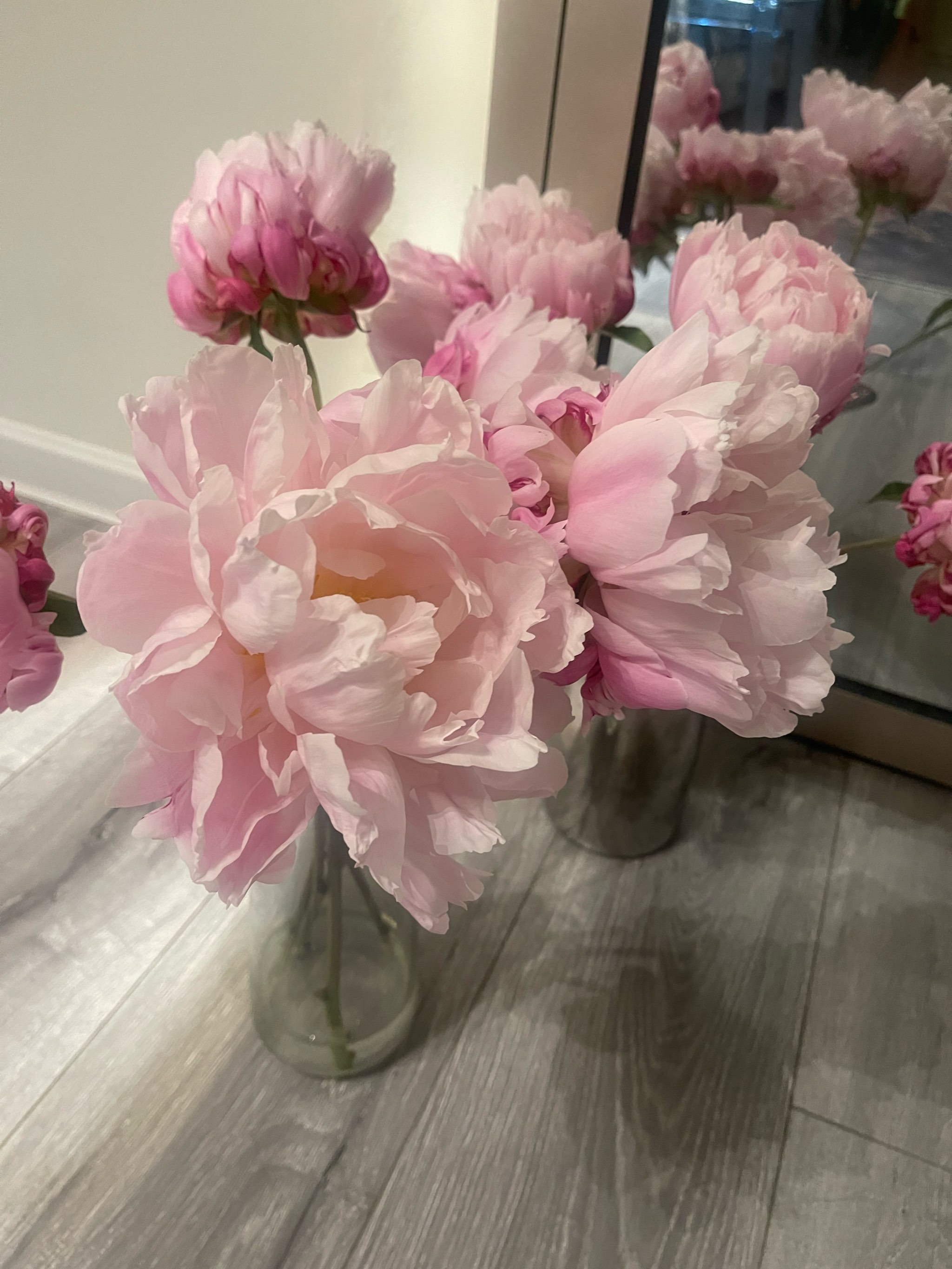 香软玉滑LVL芍药香软玉滑LVL芍药