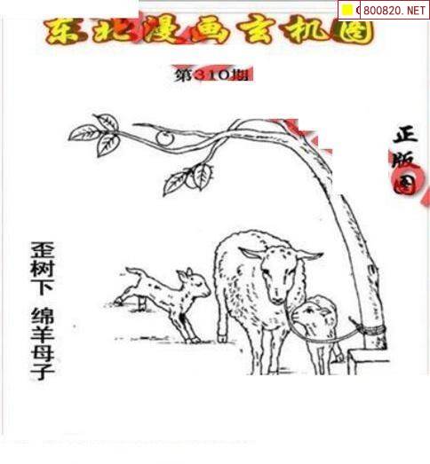 3d字谜图谜画谜3D字谜图谜画谜-第2张图片