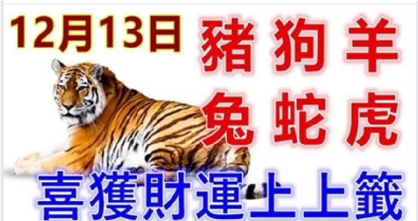 今晚出准确生肖