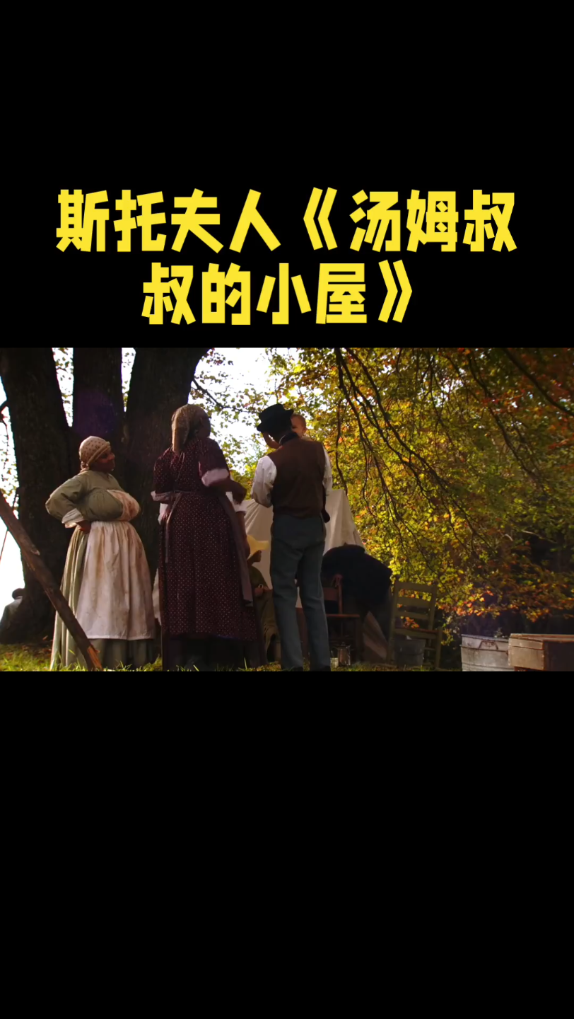 汤姆叔叔永久转入接口-第1张图片
