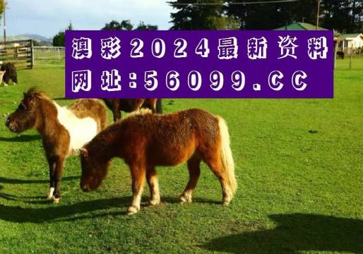 澳门2023历史开奖记录澳门2023历史开奖记录-第3张图片