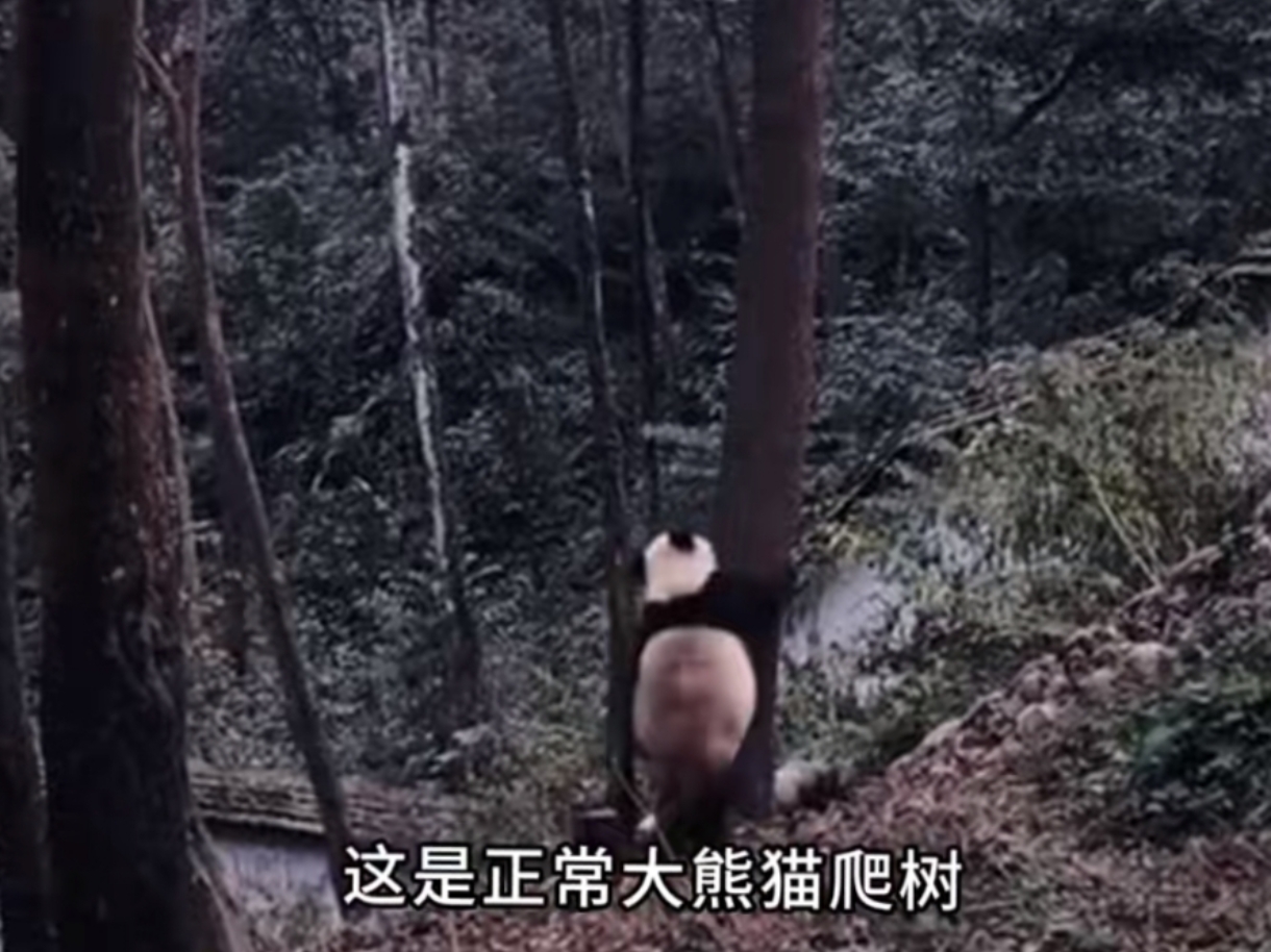 感受到它在里面动了吗-第1张图片