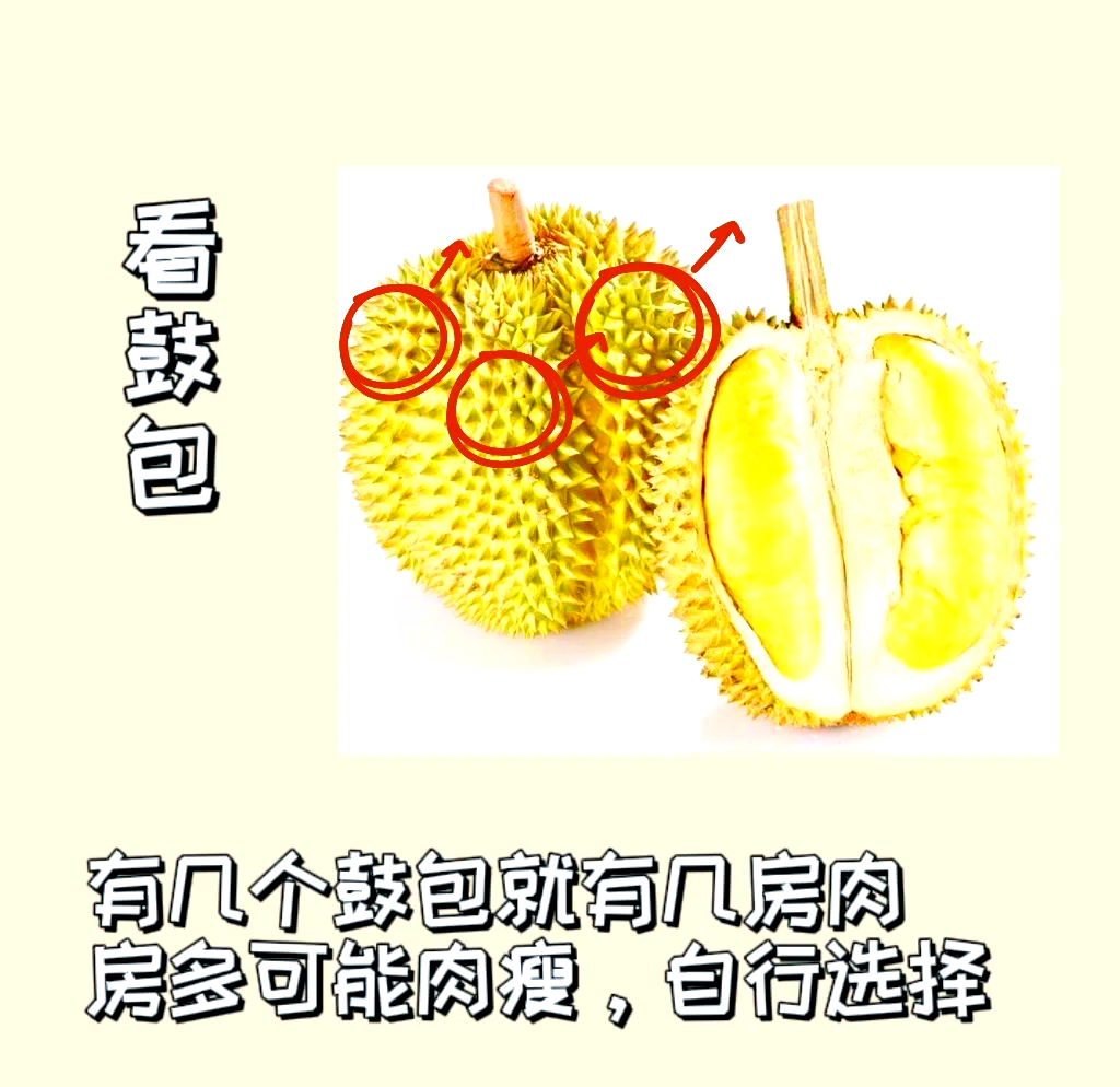 榴莲视频最新免费版下载攻略-第2张图片