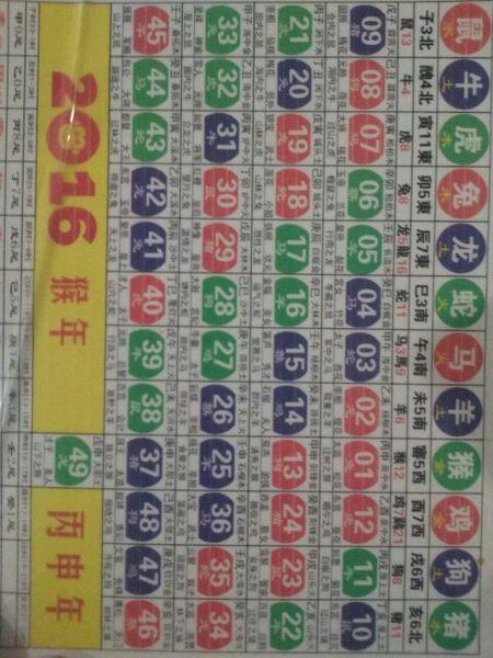 2024生肖排码表图揭秘-第1张图片