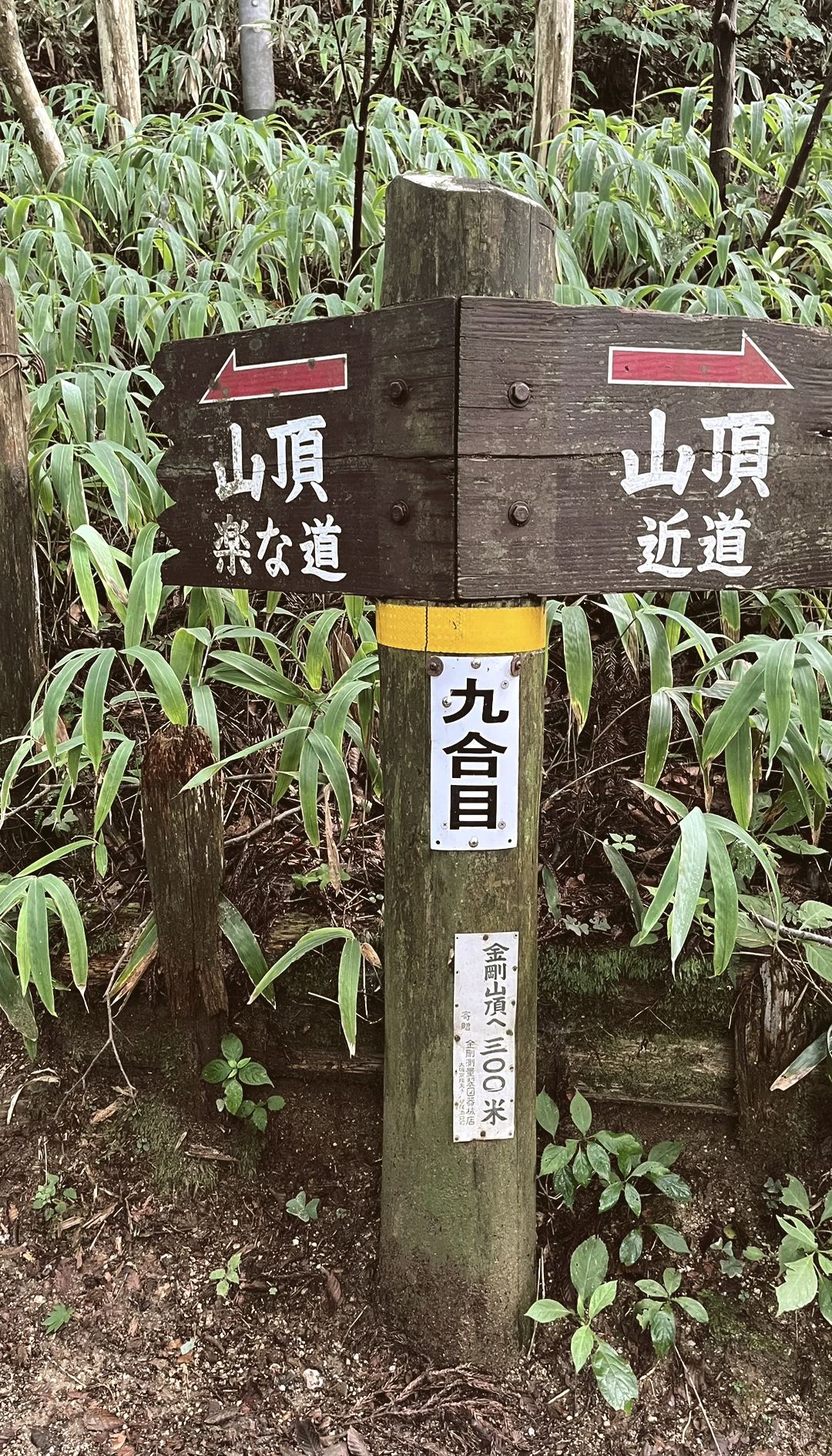 金刚山之旅-第1张图片