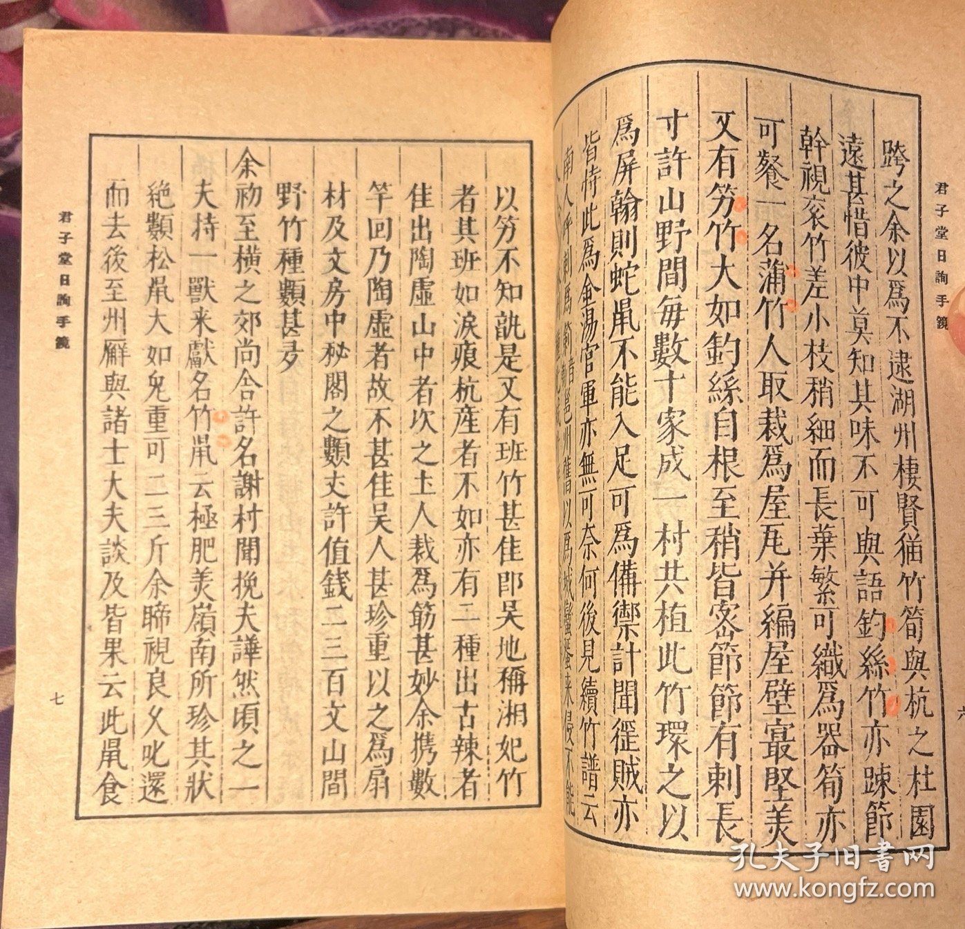君子堂4内君子堂4内，风华正茂的雅致天地-第2张图片
