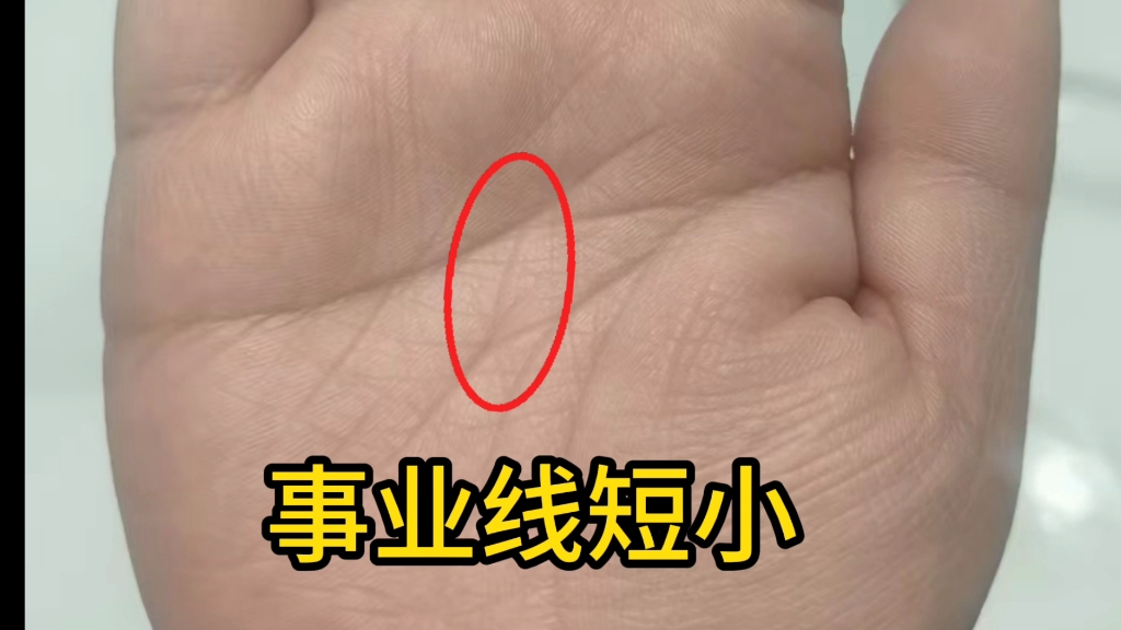 手相没有事业线解析-第3张图片