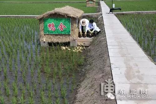 送豆网，构建农业生态圈的新平台