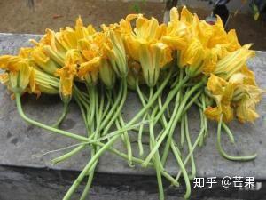 两根茎同时进入爽体验