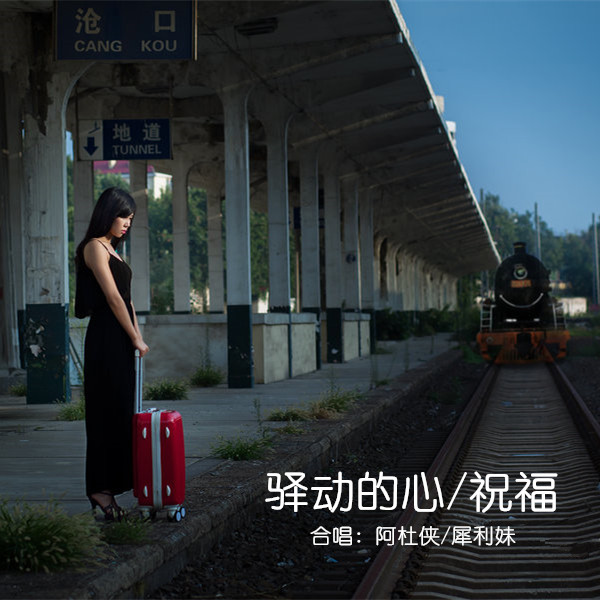 5sing原创音乐基地，音乐创作的黄金之地-第2张图片