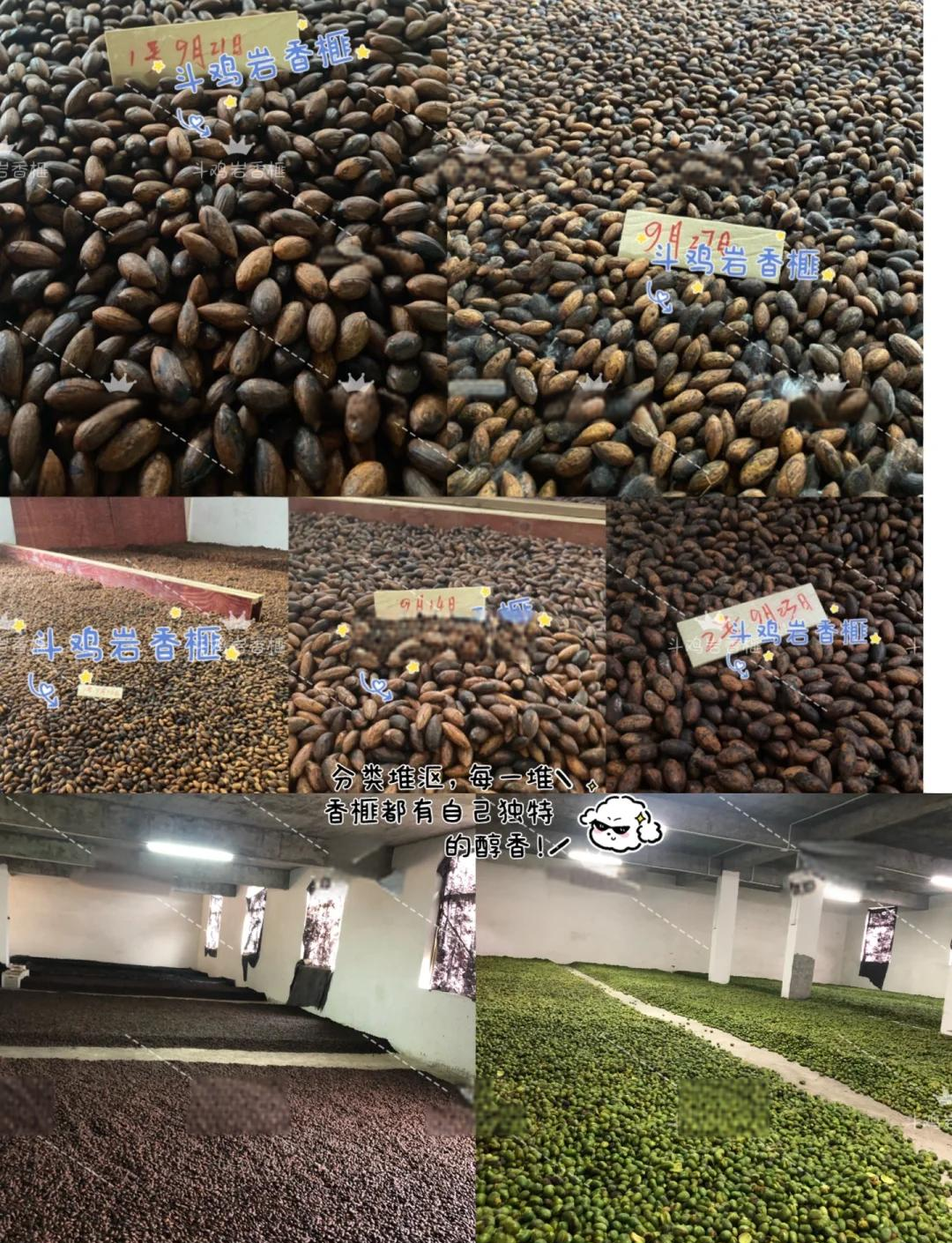 芒果精品1区2区3区4区视频在线观看芒果精品1区、2区、3区与4区，品质之选-第1张图片