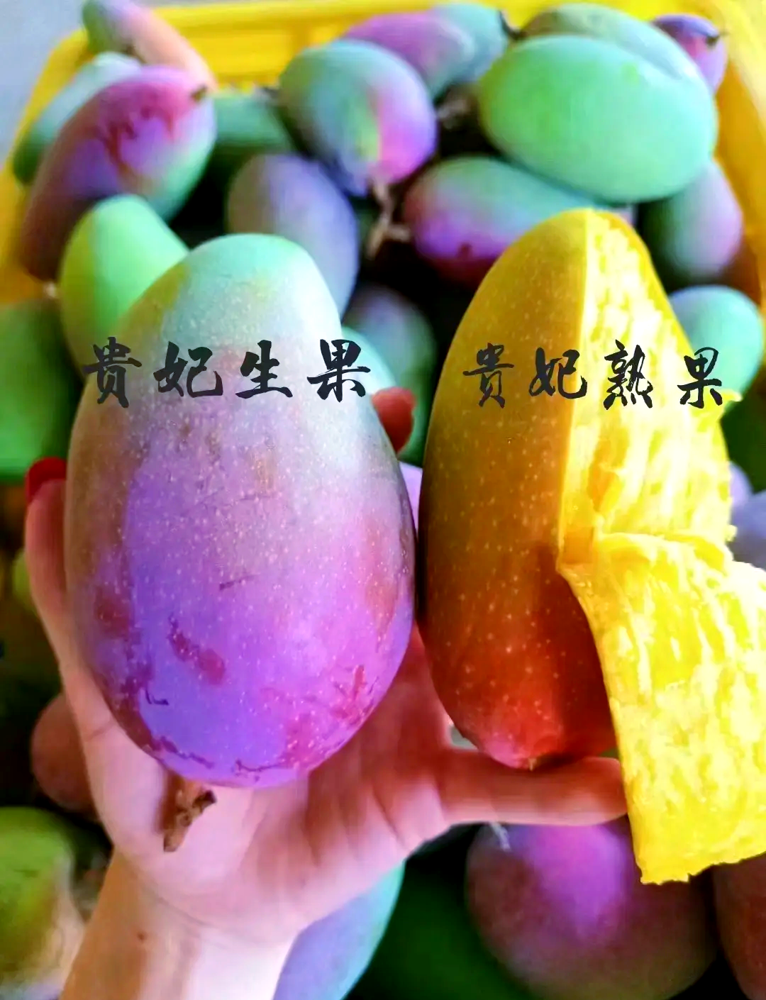 国产三区芒果国产四线区芒果，品质与特色的完美结合