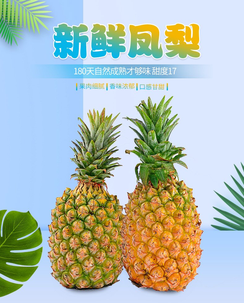 大菠萝福建导航导入网站花季传媒大菠萝福建导航导入网站花季传媒-第1张图片