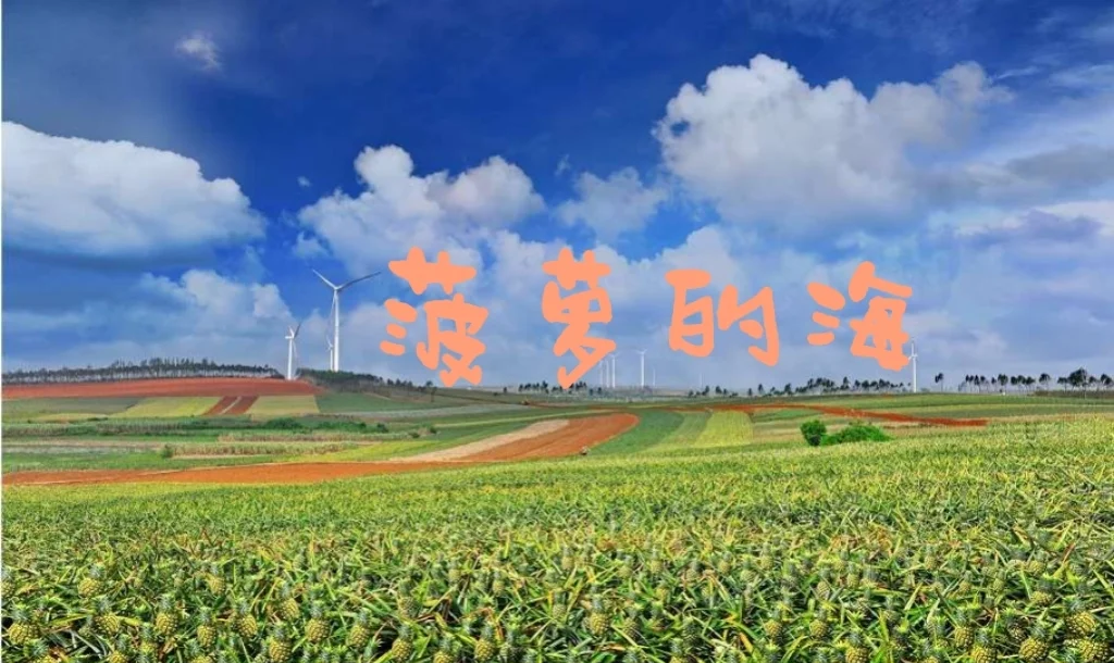 大菠萝福建导航导入网站花季传媒大菠萝福建导航导入网站花季传媒-第3张图片