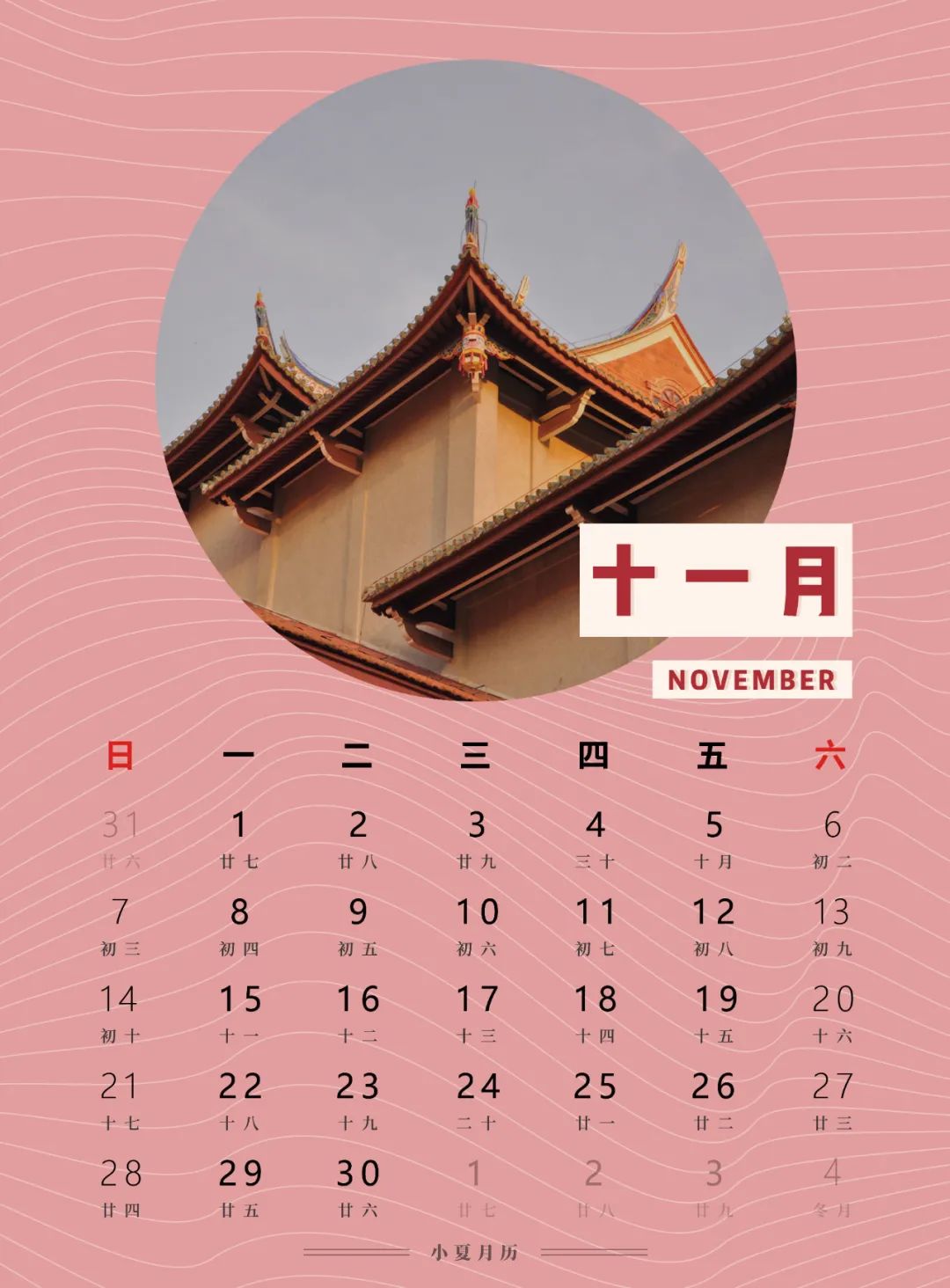 2021网站福利你们会回来感谢我的2021网站福利你们会回来的感谢