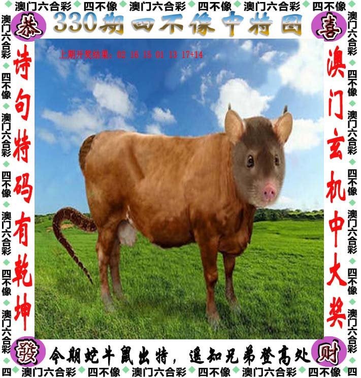 三期必开一肖期期准免费资料三期必开一肖期期准免费资料-第3张图片