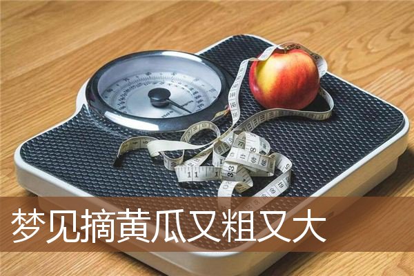色翁荡媳又大又粗又硬色翁荡媳-第1张图片