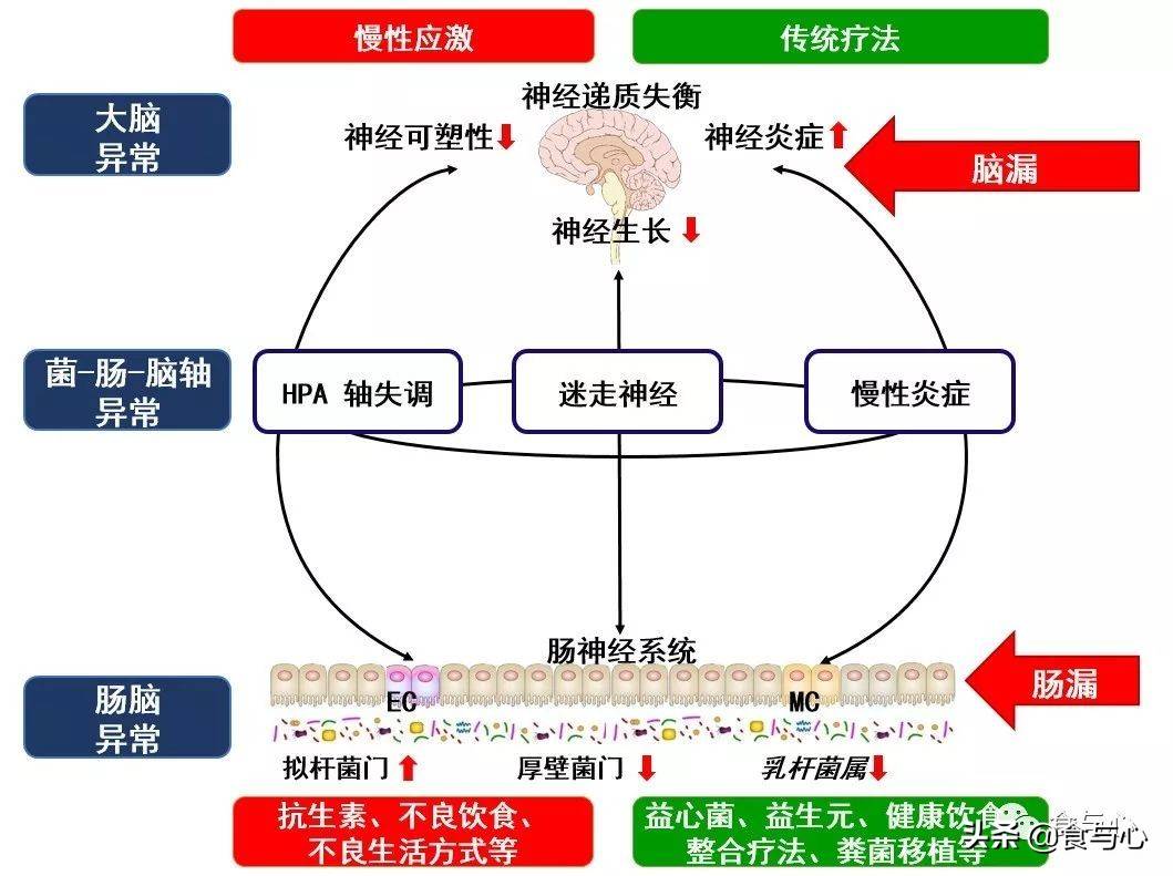 欧美肠交，探索背后的文化与心理
