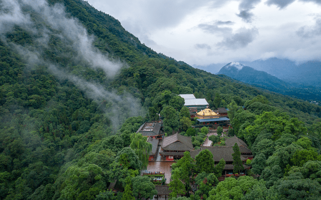 又白又大又圆的山峰-第3张图片