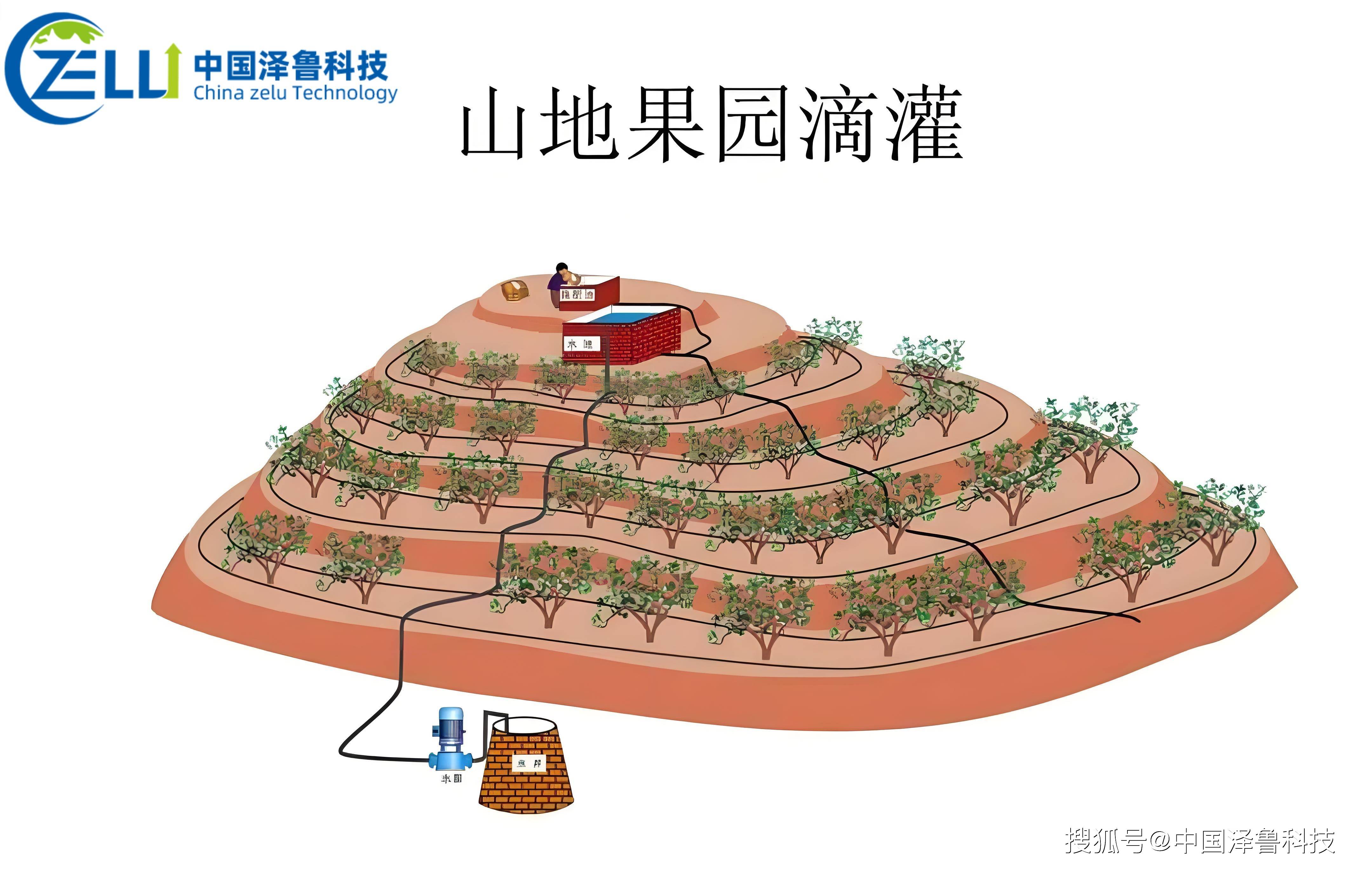 农村肥妻要逆袭农村肥沃的土地与丰饶的农业生态系统