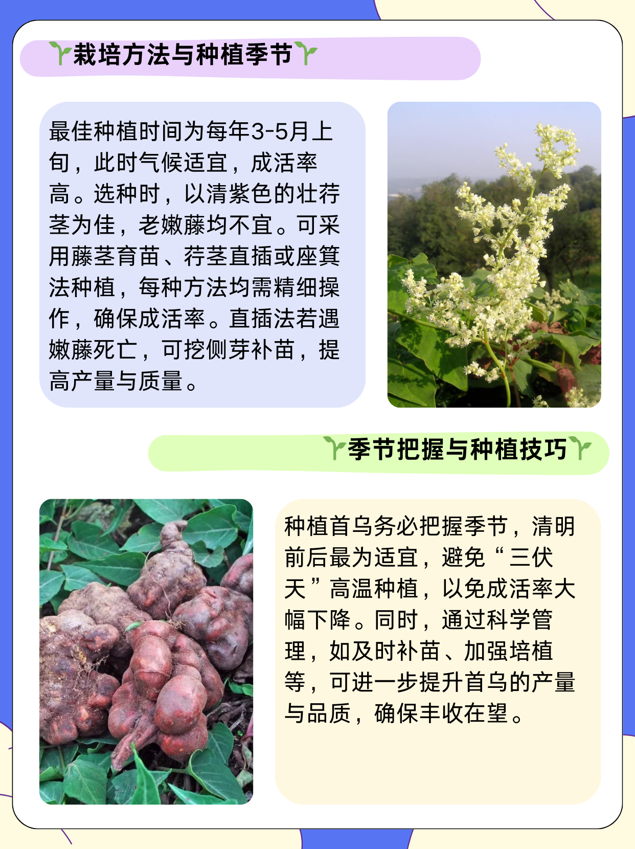 农村肥妻要逆袭农村肥沃的土地与丰饶的农业生态系统-第3张图片