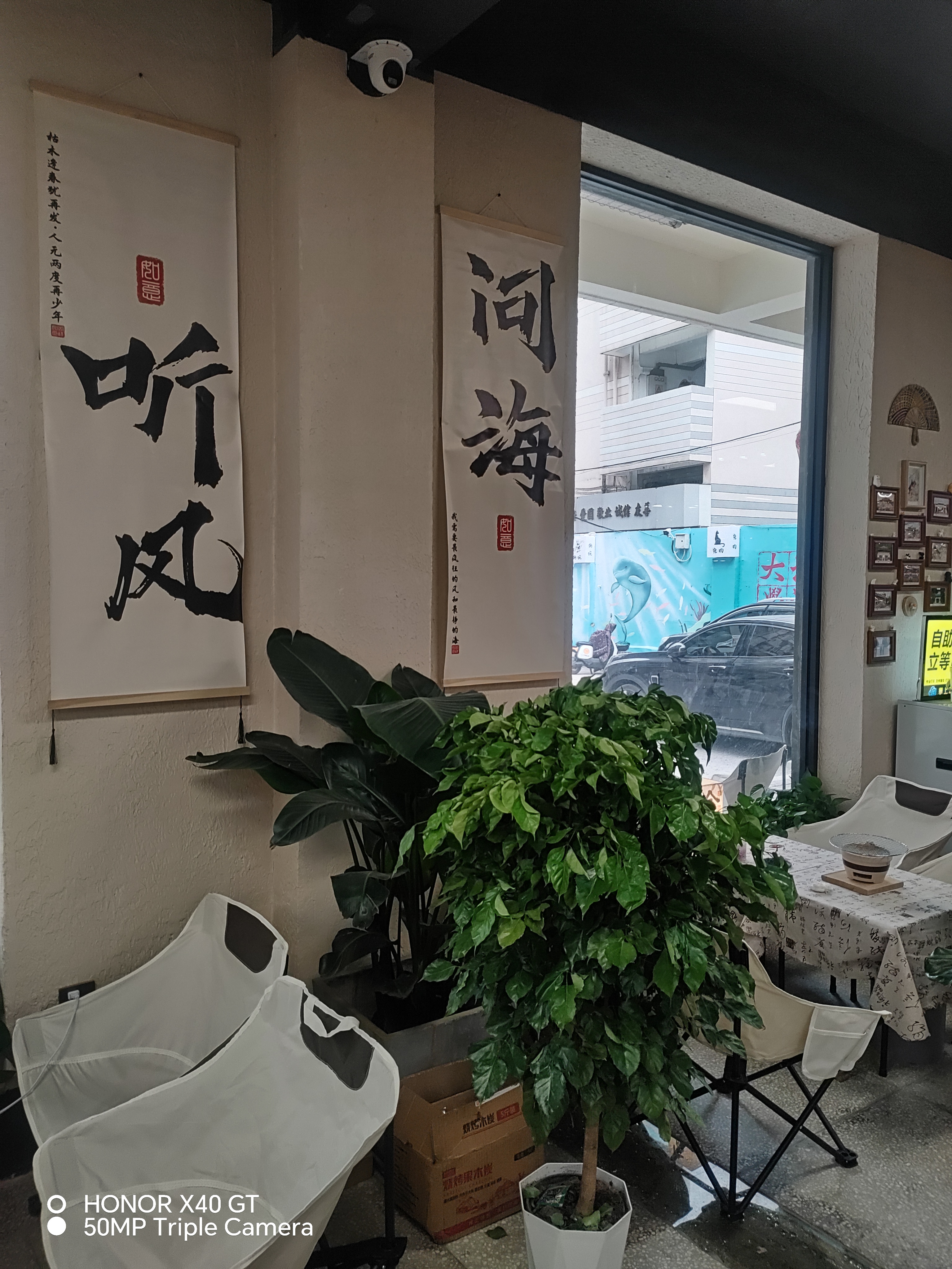 忘忧草社区，社区生活与温馨氛围-第3张图片