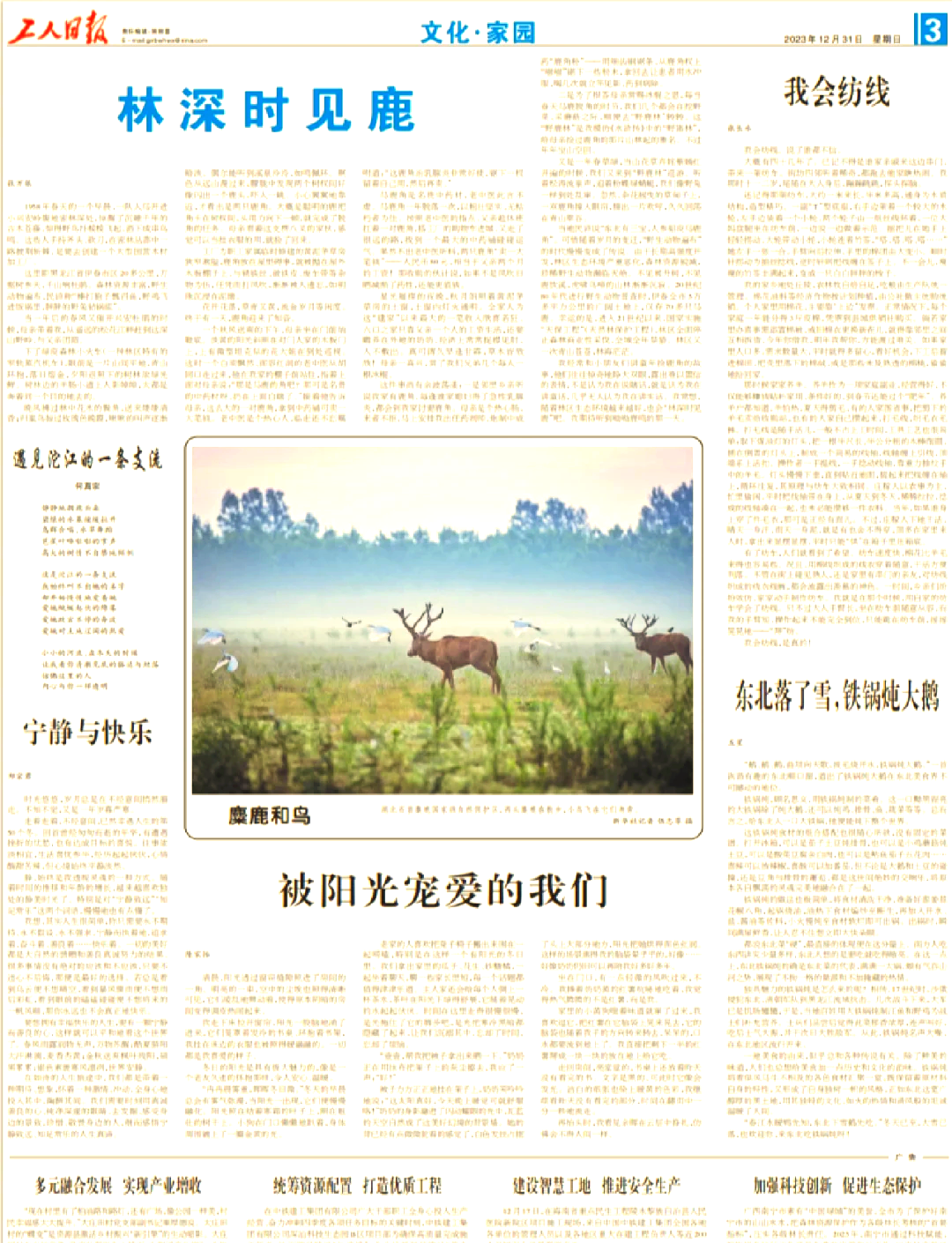 甘肃工人日报电子版官网甘肃工人日报电子版，新闻传播的新篇章