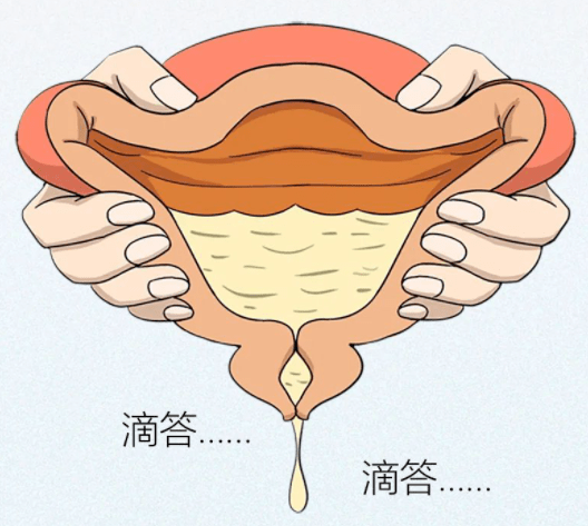 同桌的憋尿与揉我-第3张图片