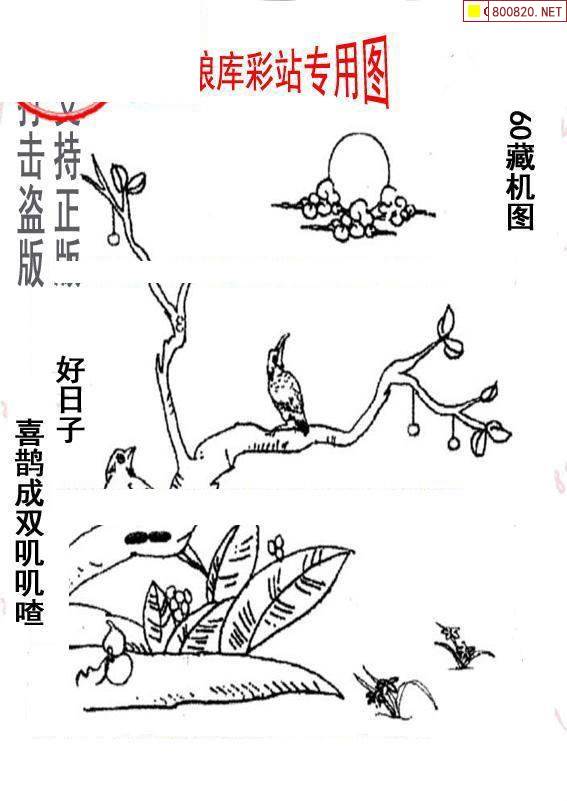 福彩3d画谜总汇福彩3D画谜总汇-第1张图片