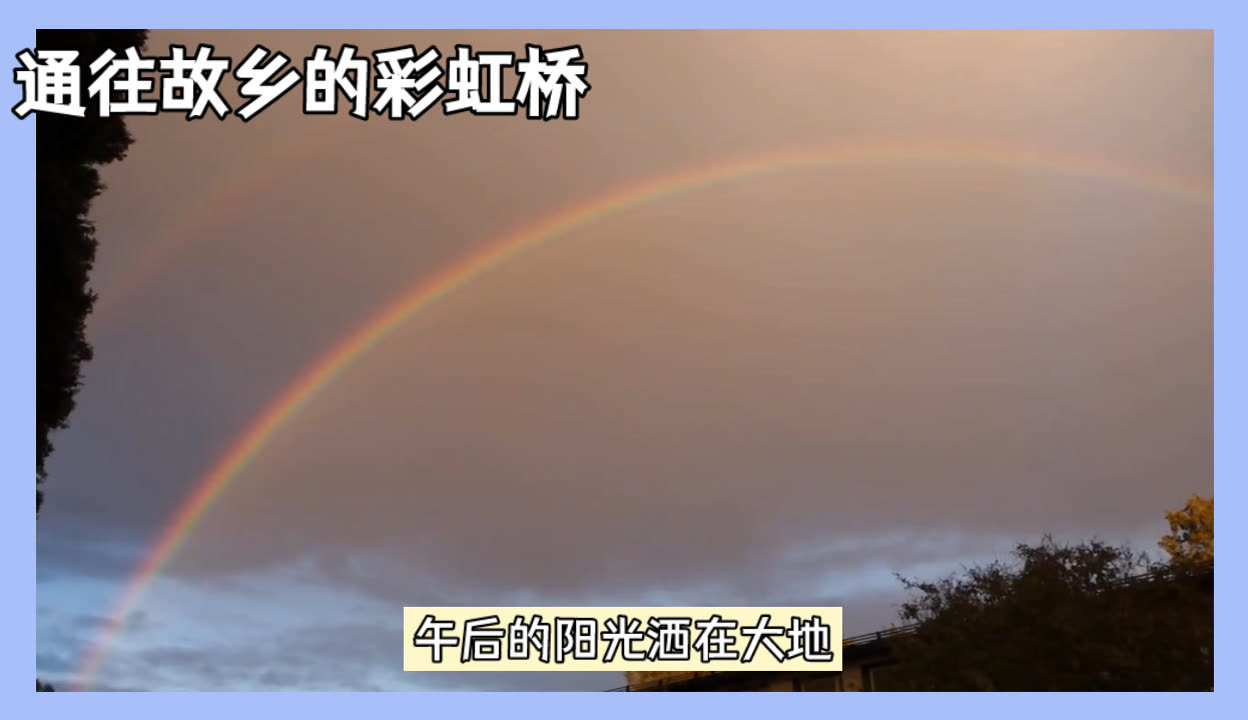 彩虹视频免费资源在线观看-第2张图片