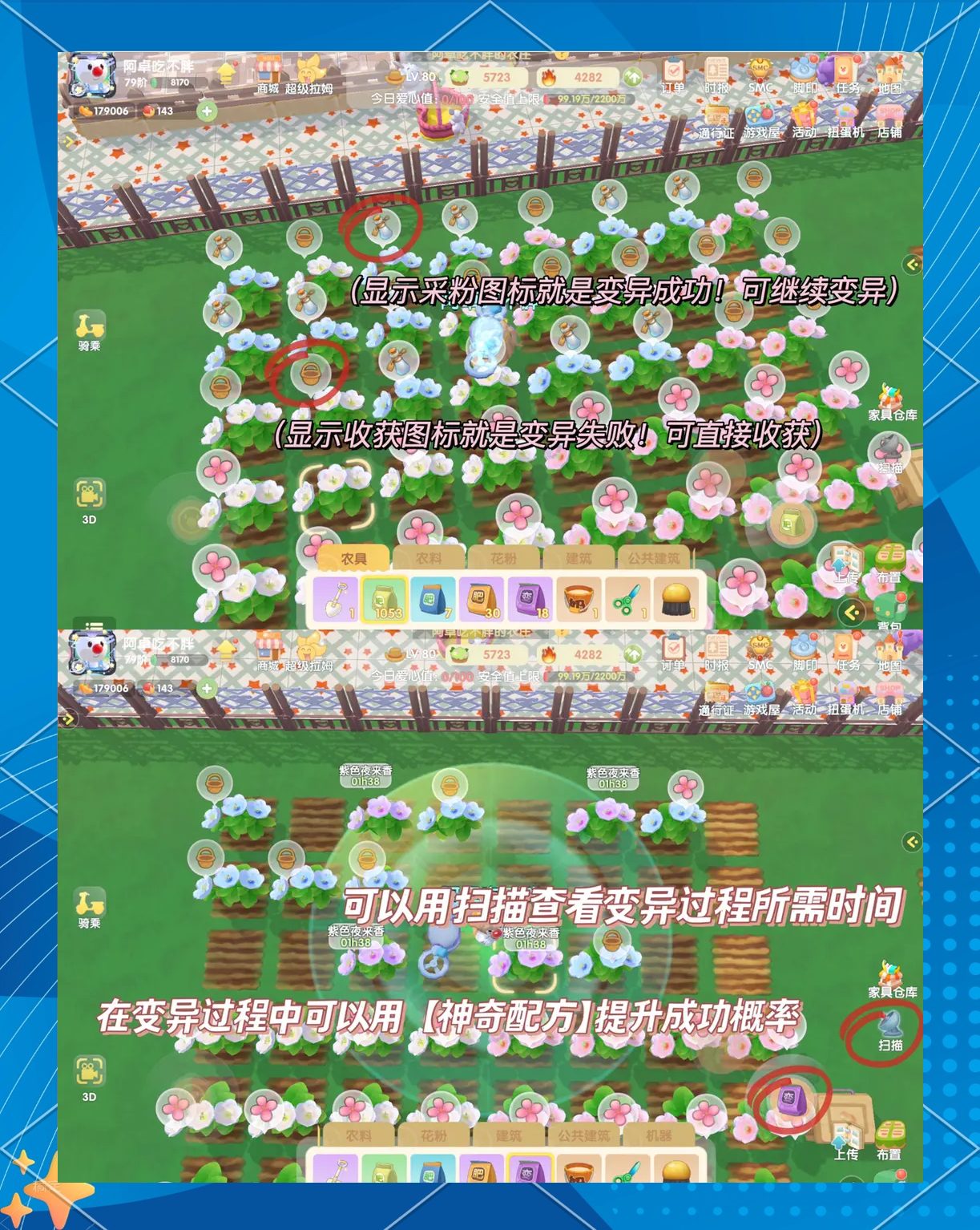 摩尔庄园攻略