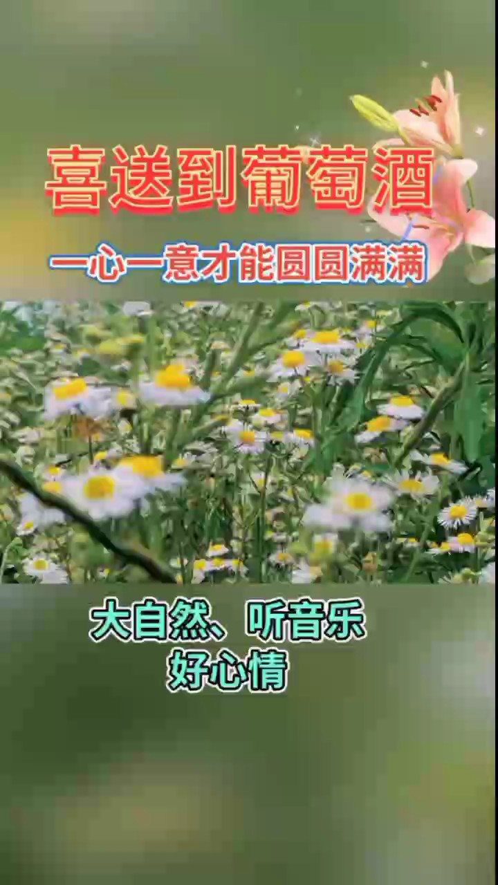 野花论坛社区，探索自然之美与交流心得-第1张图片