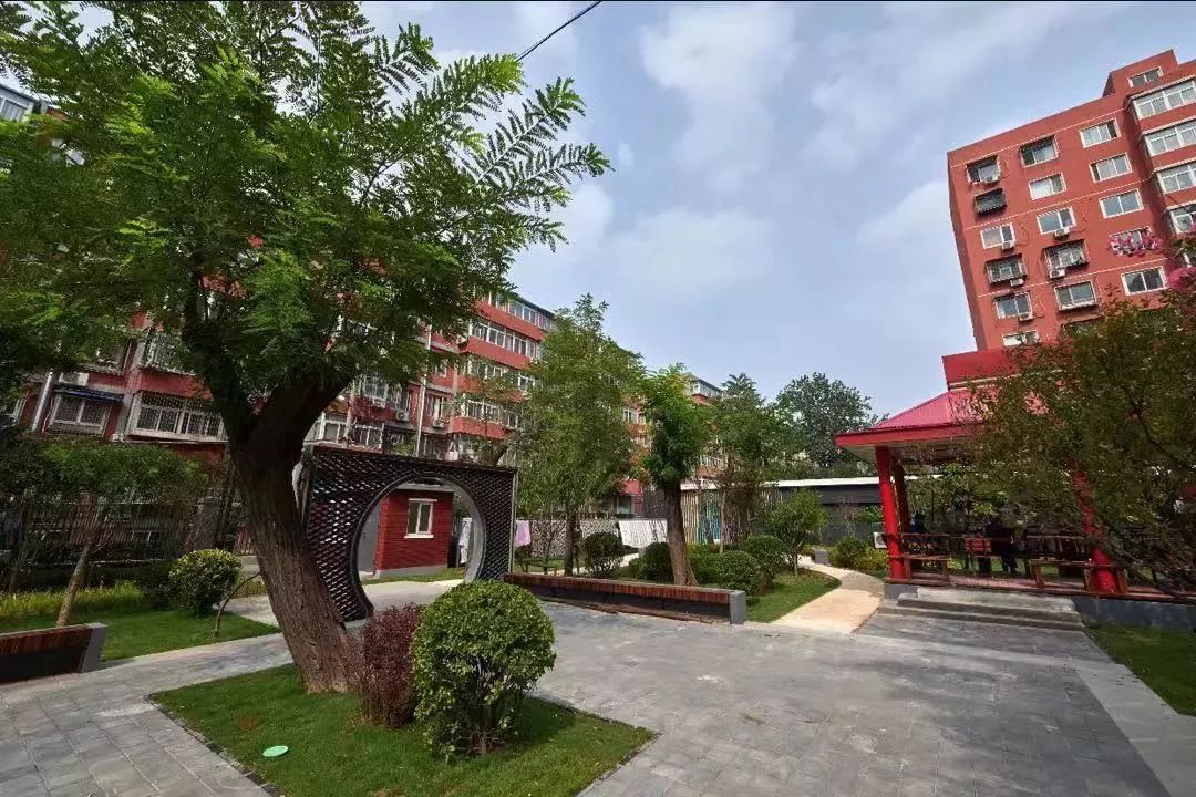 美国十次唐人社区导行美国十次啦唐人社区，多元文化交融的社区典范
