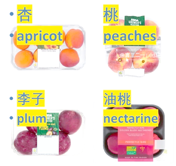 三叶草亚洲码和欧洲码区别水果用力插嗯嗯三叶草、亚洲码与欧洲码水果区别-第1张图片
