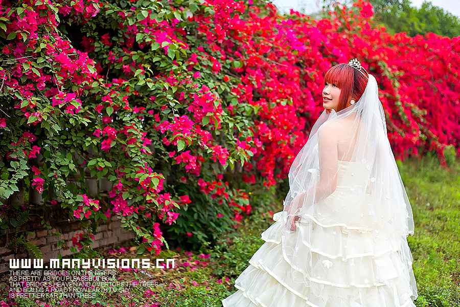 花季传媒3.0.3花季传媒3.0.3，引领传媒新时代