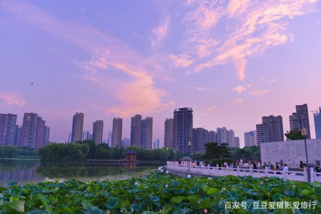 爱临沂网，临沂城市生活的网络窗口-第1张图片