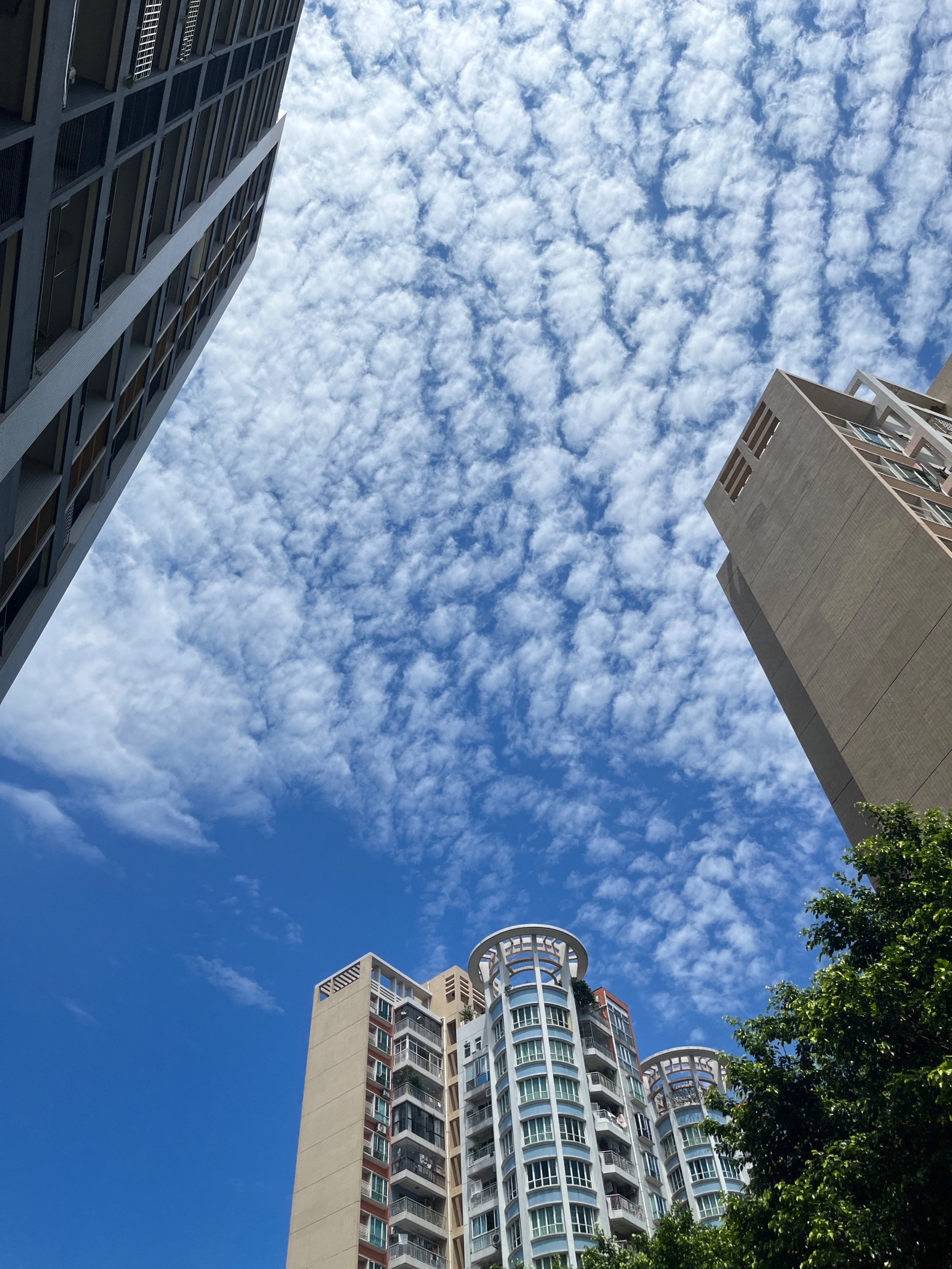 天空手机软件下载，探索便捷的移动生活-第1张图片