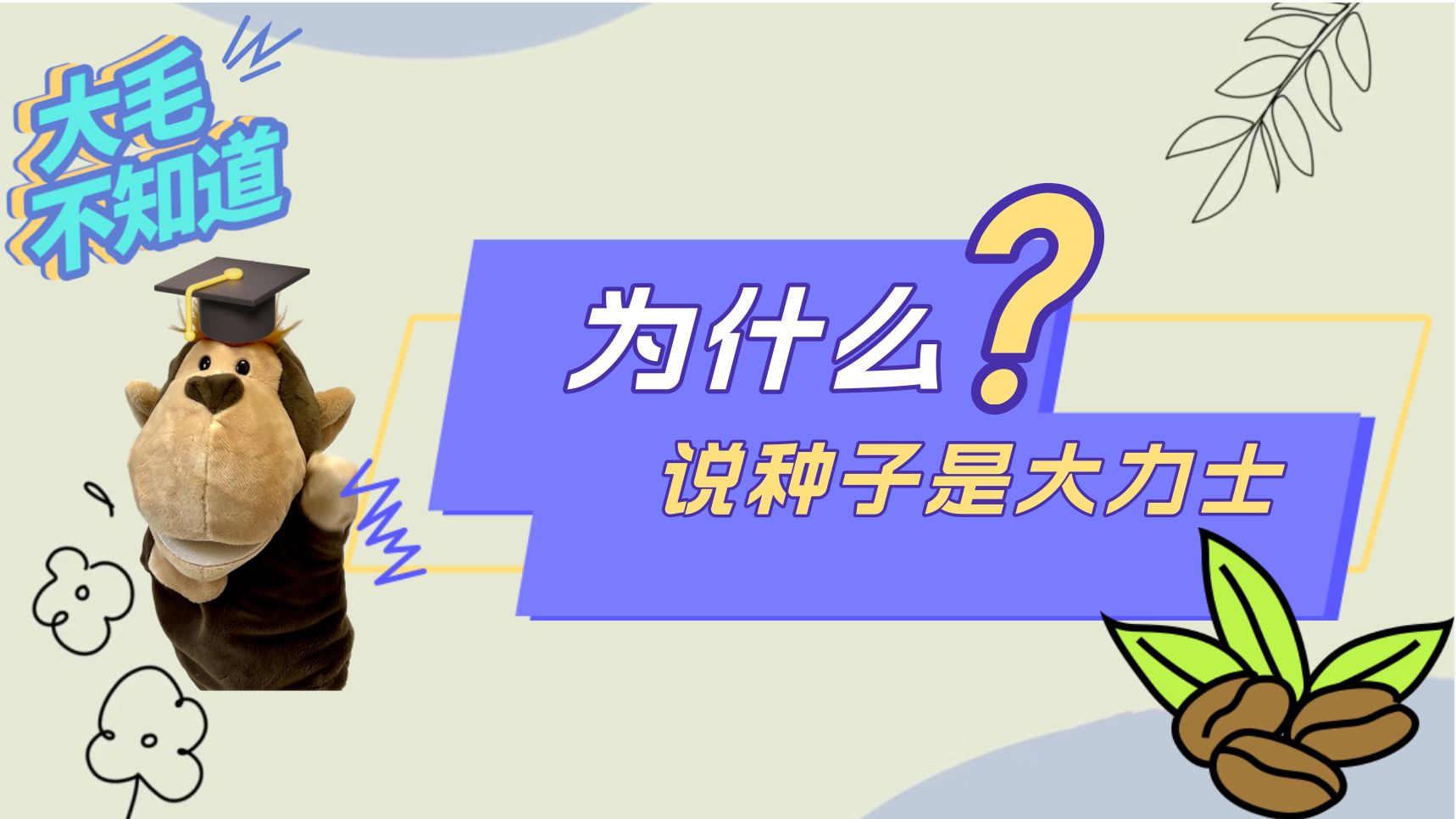 迅雷种子你懂的迅雷种子，探索神秘种子世界-第2张图片