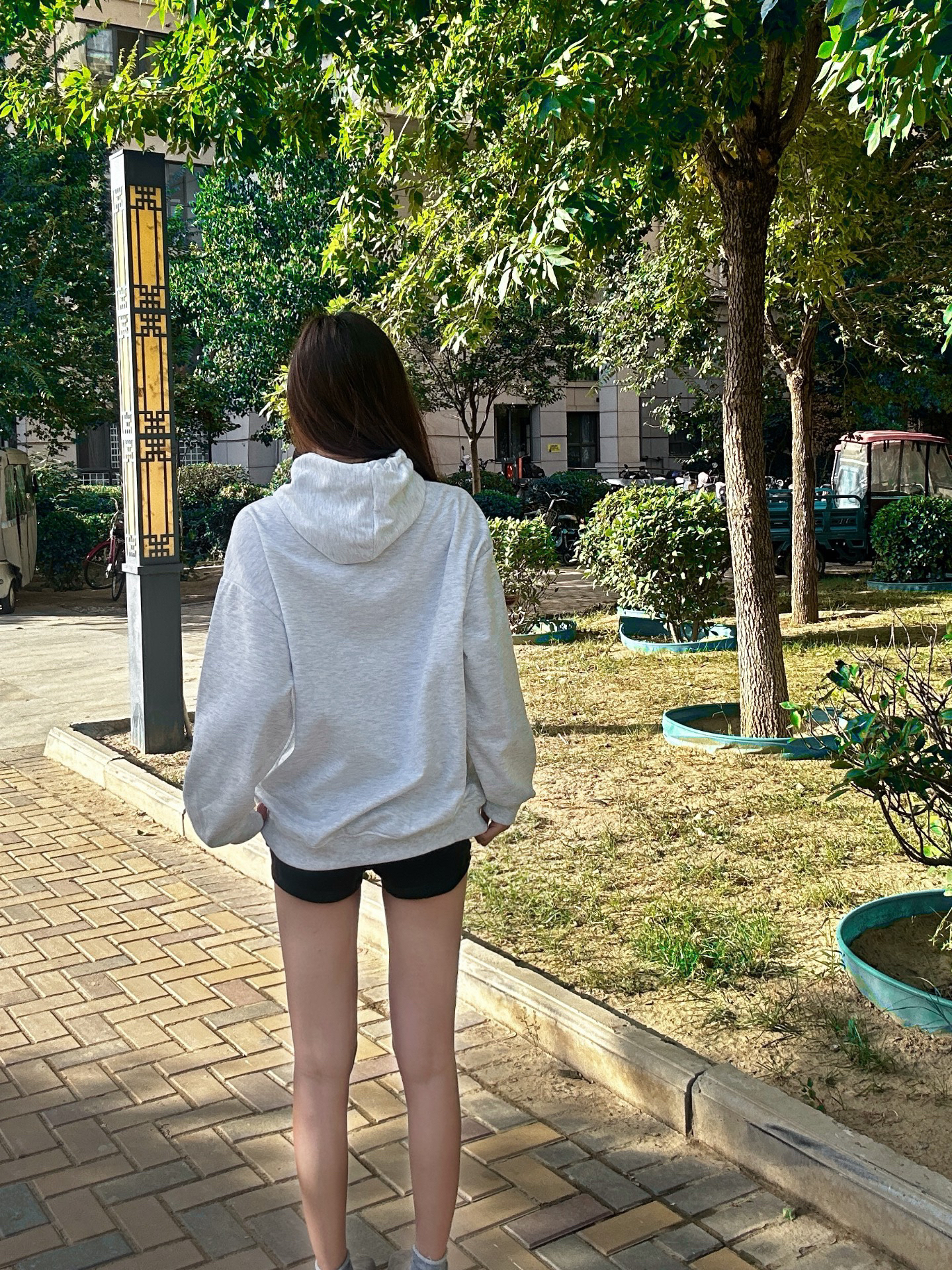 美美图片高清视频免费分享-第1张图片